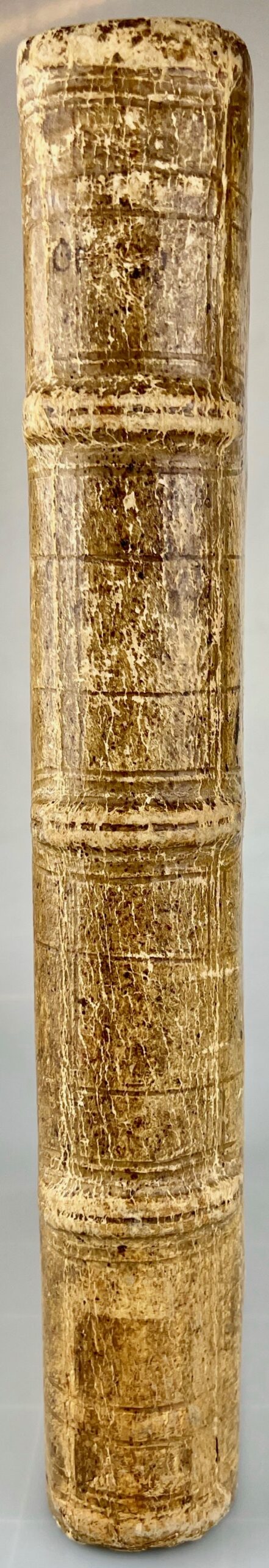 ERASME & CYPRIEN (saint). Opera Divi Caecilii Cypriani Episcopi Carthaginensis, ab innumeris mendis repurgata, adiectis nonnullis libellis ex uetustissimis exemplaribus, quae hactenus no habebantur, ac semotis ijs, quae falsò uidebantur inscripta, unà cum annotatiunculis. Atque haec omnia nobis praestitit ingenti labore suo Erasmvs Roterdamvs, vir iuuandis optimis studijs natus. – Image 4