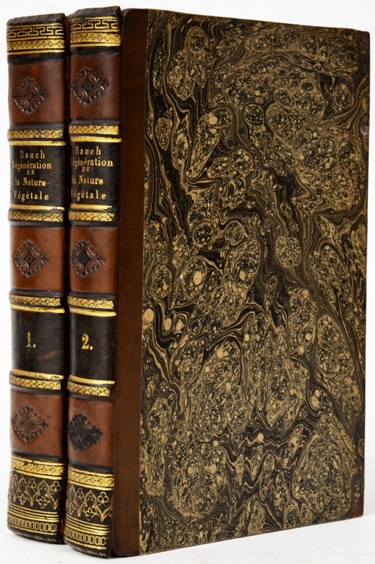 RAUCH (François-Antoine). Régénération de la nature végétale, ou Recherches sur les moyens de recréer, dans tous les climats, les anciennes températures et l'ordre primitif des saisons, par des plantations raisonnées, appuyées de quelques vues sur le ministère que la puissance végétale semble avoir à remplir dans l'harmonie des éléments. – Image 2
