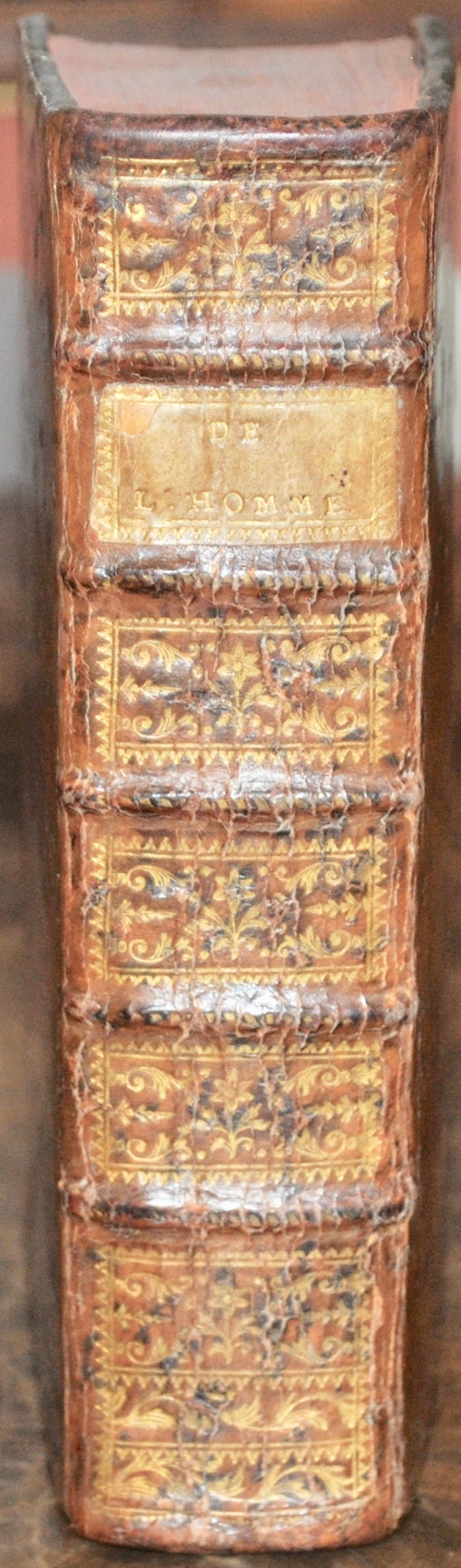 MARAT (Jean-Paul). De l'Homme ou des principes et des loix de l'Influence de l'åme sur le corps, et du corps sur l'åme.