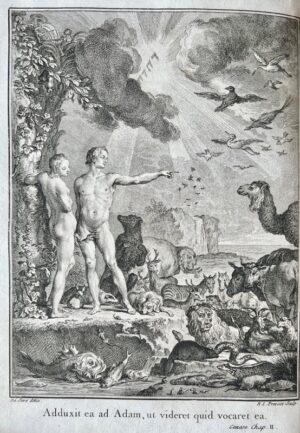 VALMONT DE BOMARE (Jacques-Christophe). Dictionnaire raisonné universel d'histoire naturelle ; Contenant l'histoire des Animaux, des Végétaux et des Minéraux, et celle des Corps célestes, des Météores et autres principaux Phénomènes de la Nature ; Avec l'histoire et la description des Drogues simples tirées des trois Règnes ; Et le détail de leurs usages dans la Médecine, dans l'Economie domestique & champêtre, & dans les Arts & Métiers : Plus, une Table concordante des Noms Latins, & le renvoi aux objets mentionnés dans cet Ouvrage.