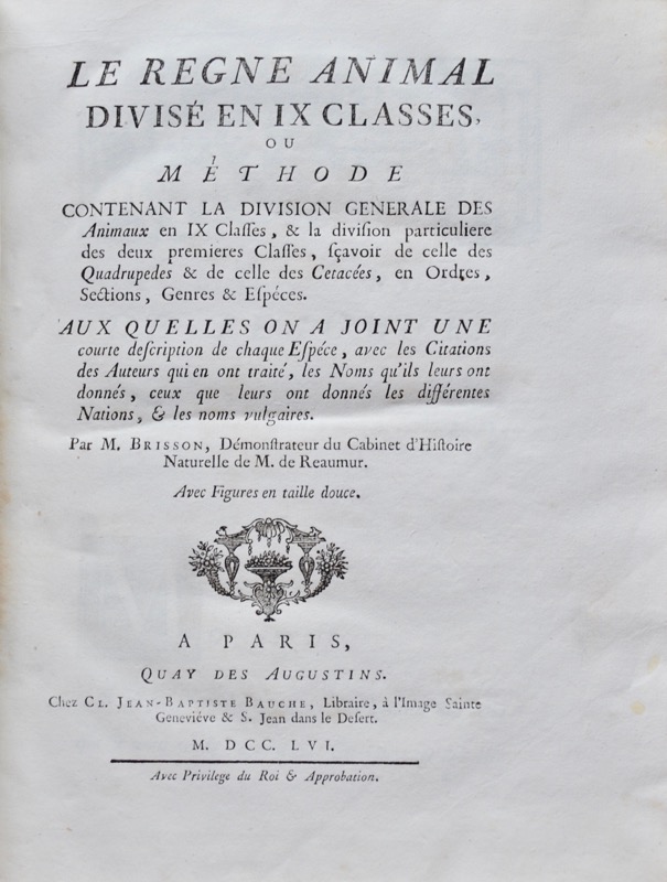 BRISSON (Mathurin-Jacques). Le Règne animal divisé en IX classes.