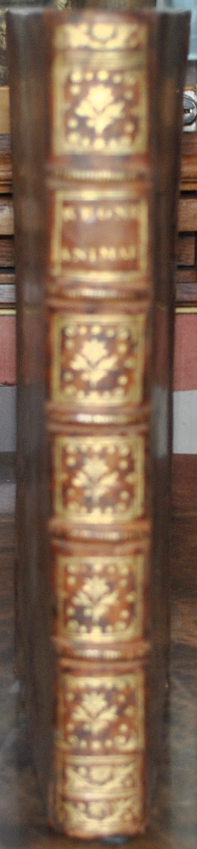 BRISSON (Mathurin-Jacques). Le Règne animal divisé en IX classes. – Image 2