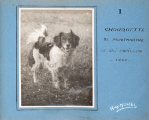 [Bestiaire. Photographies]. Chouquette de Montmartre le joli papillon.