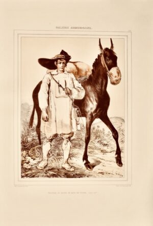 LALAISSE (Hippolyte) et BENOIST (Félix). Galerie Armoricaine. Costumes et vues pittoresques de la Bretagne dessinés d'après nature et lithographiés.