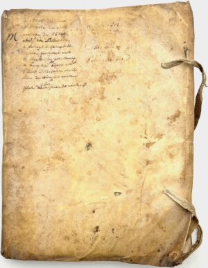 [Orléanais. Bailliage de Blois. Thénioux (Cher). Terrier].