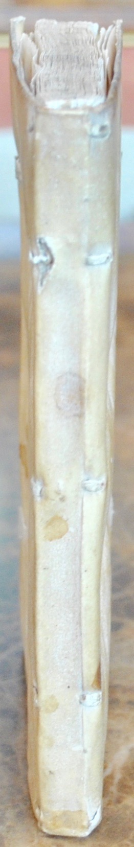 MIZAULD (Antoine). Antonii Mizaldi Monsluciani Phaenomena, sive Aeriae Ephemerides : omnium aurae commotionum signa ab his quae in Caelo, Aere, Aqua, & Terra palam apparent, quatuor Aphorismoru sectiunculis… Ejusdem Prolegomena, in quibus nonnulla de brutorum praesagitione. – Image 2