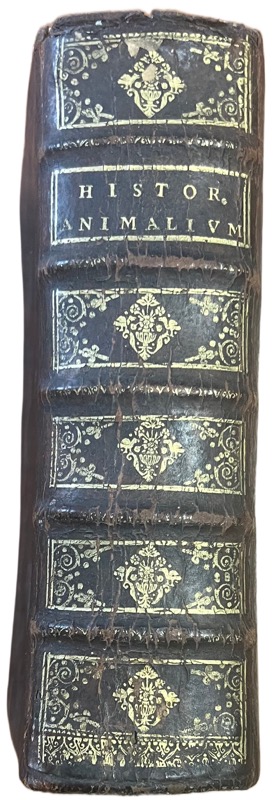 MAIUS (Johannes Henricus). Brevis & accurata Animalium In Sacro cumprimis Codice memoratorum Historia, In qua Singulorum… opus Omnium artium disciplinarumque Cultoribus utilissimum, Quippe quo Sacri profanique scriptores quamplurimi subinde illustrantur, & Magnus praesertim Bochartus per singula fere capita augetur pariter ac emendatur.
