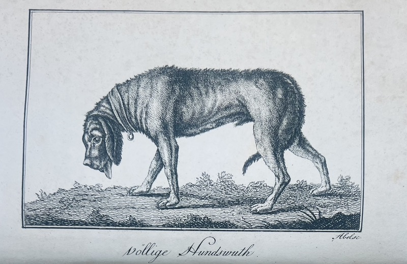HAHNEMANN (Samuel). Freund der gesundheit. – Image 3